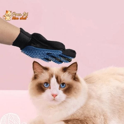 Gant brosse chat et chien - Brossage du poil et toilettage