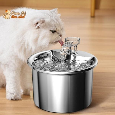 Fontaine à Eau Chat Sans Electricité - Escarg'eau™ – Pour toi Mon chat