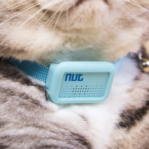 Tout savoir sur le collier GPS pour chat
