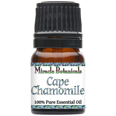 Chamomile (Cape) Essential Oil - Wildcrafted - Indigenous South African - Miracle Botanicals Essential Oils