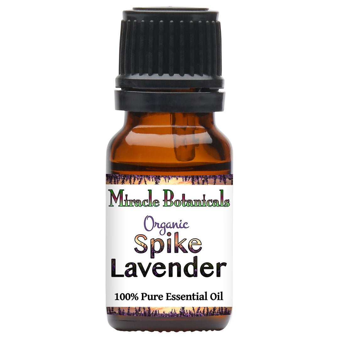 comparison of lavender and lavandin