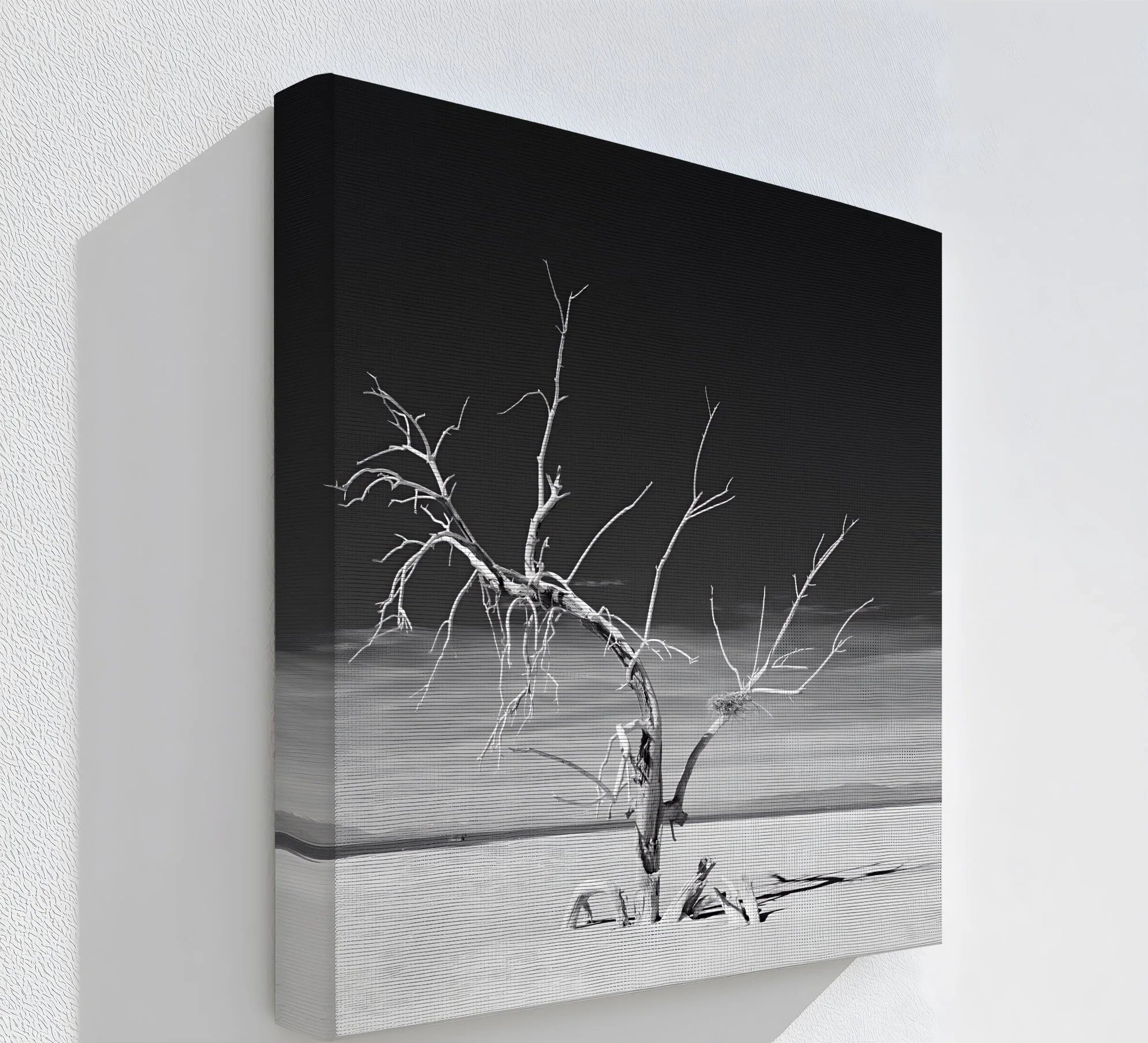 Solitary Resilience – Black and White Desert Tree Canvas Print