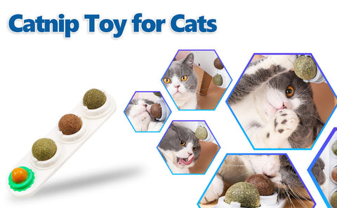 Catnip Toy