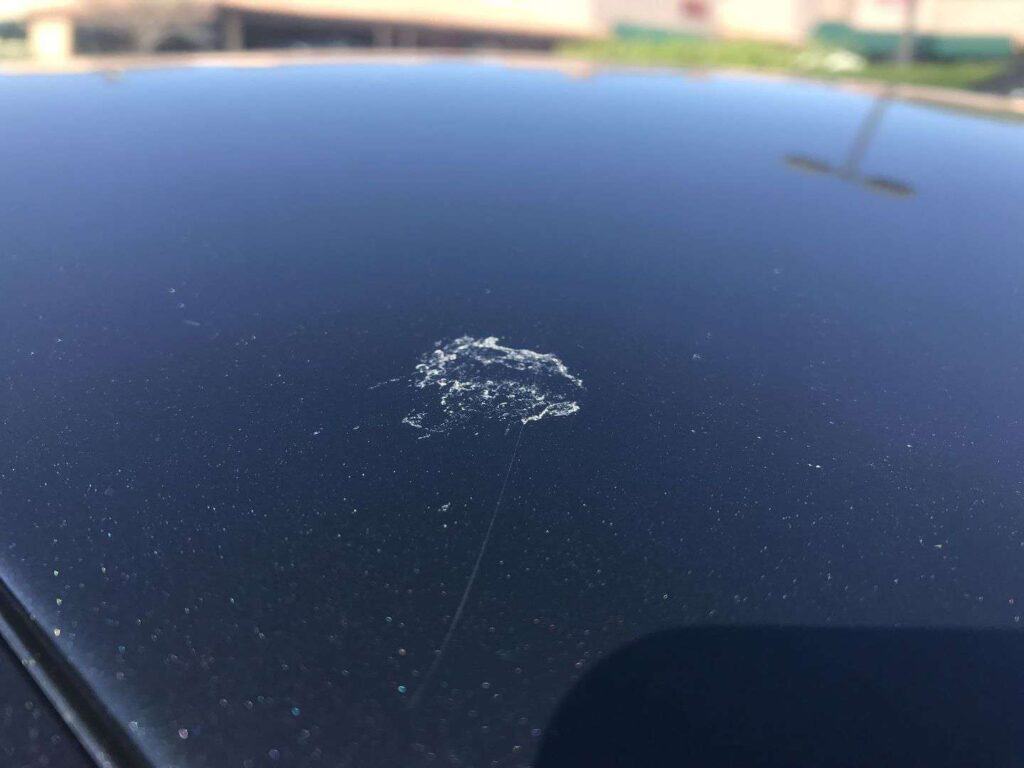 Common Car Paint Stains and How to Get Rid of Them