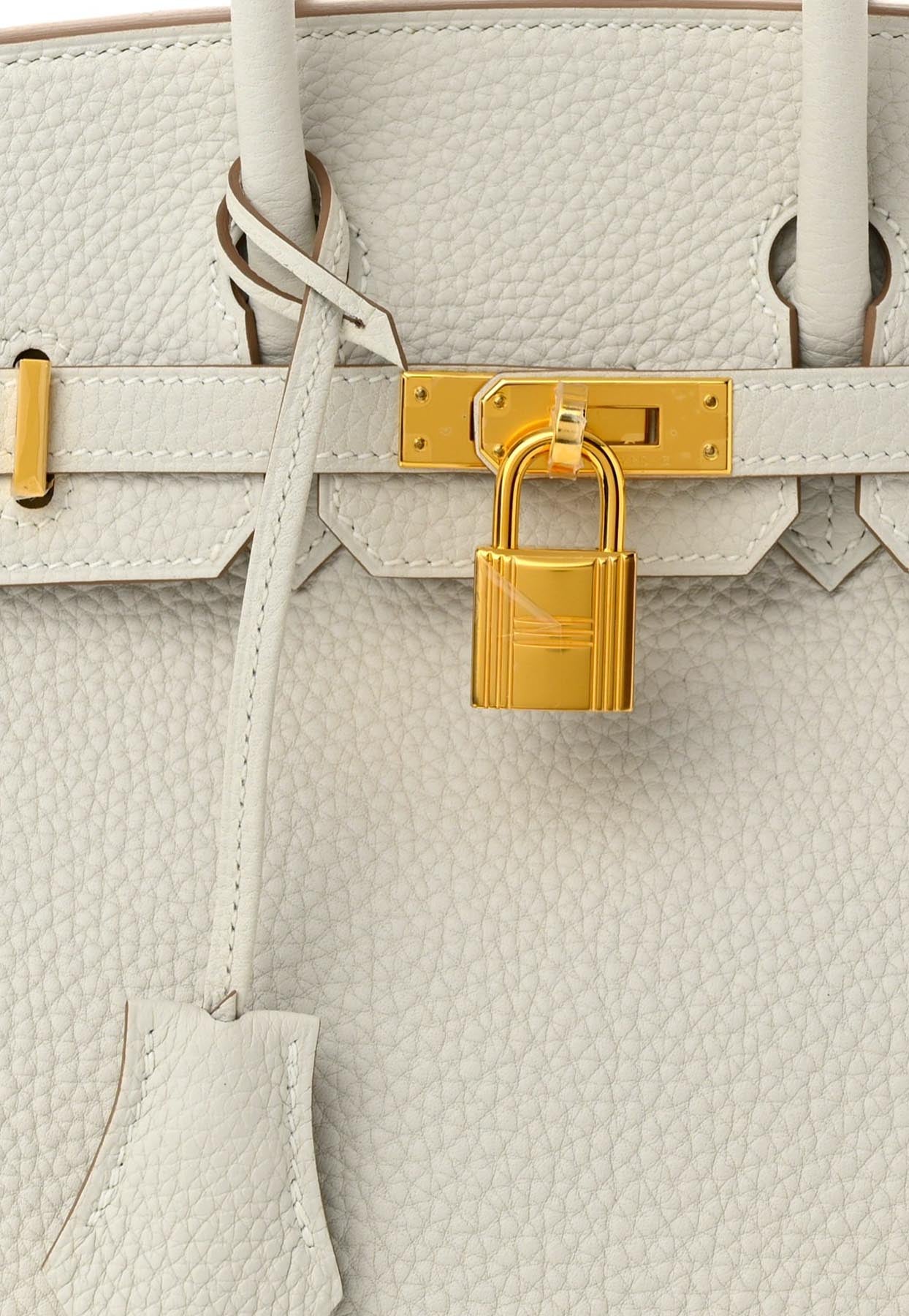 HERMÈS BIRKIN 25CM GRIS PERLE Togo Leather with Gold Hardware –  LuxuryPromise