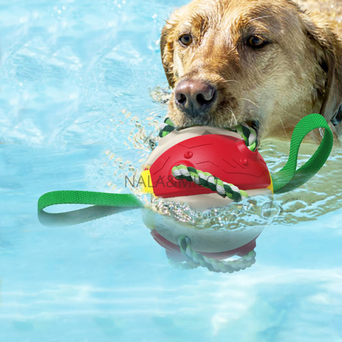 Frisball meilleur jouet pour chien