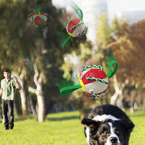 Jouet pour chien frisbee balle – Charlotte
