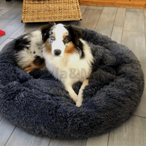 coussin-pour-chien-xxl-gris