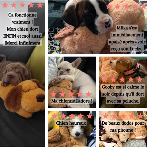 TB&W Jouet en peluche pour chien mignon, soulagement de l'anxiété