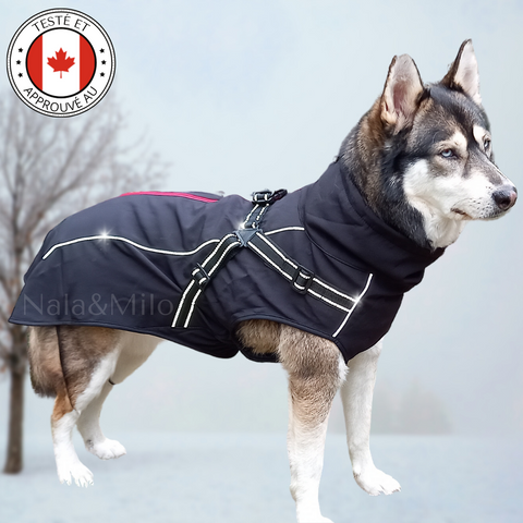 manteau chien hiver avec harnais intégré