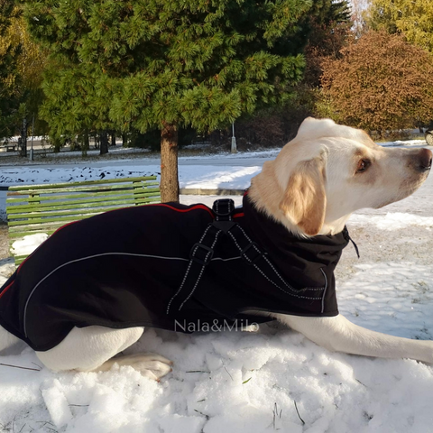 manteau chien neige