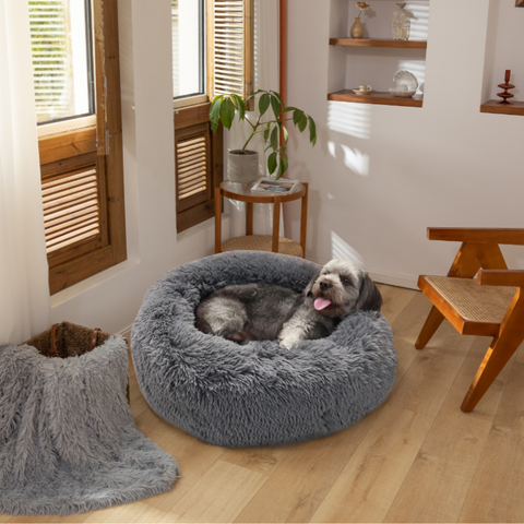 coussin-anti-stress-chien-gris