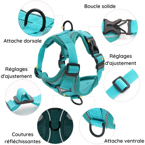 puppyharness