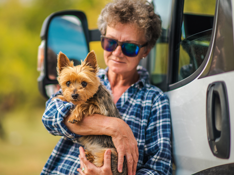 chien-voiture-voyage