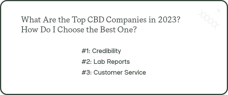 What Are the Top CBD Companies in 2023