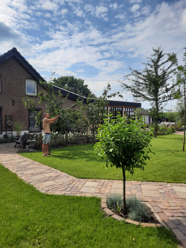 zijkant tuin