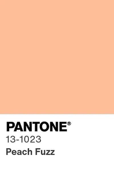 Farbkarte Pantone Farbe des Jahres 2024 Peach Fuzz 13-1023