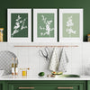 3pc sage green cherry blossom wall art prints