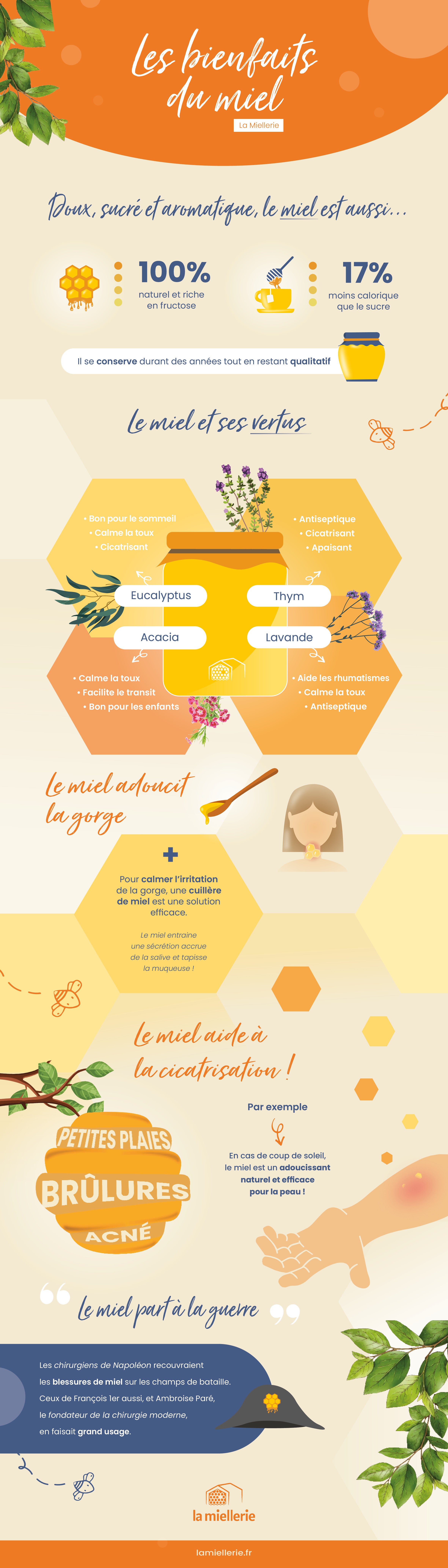 Infographie les bienfaits du miel