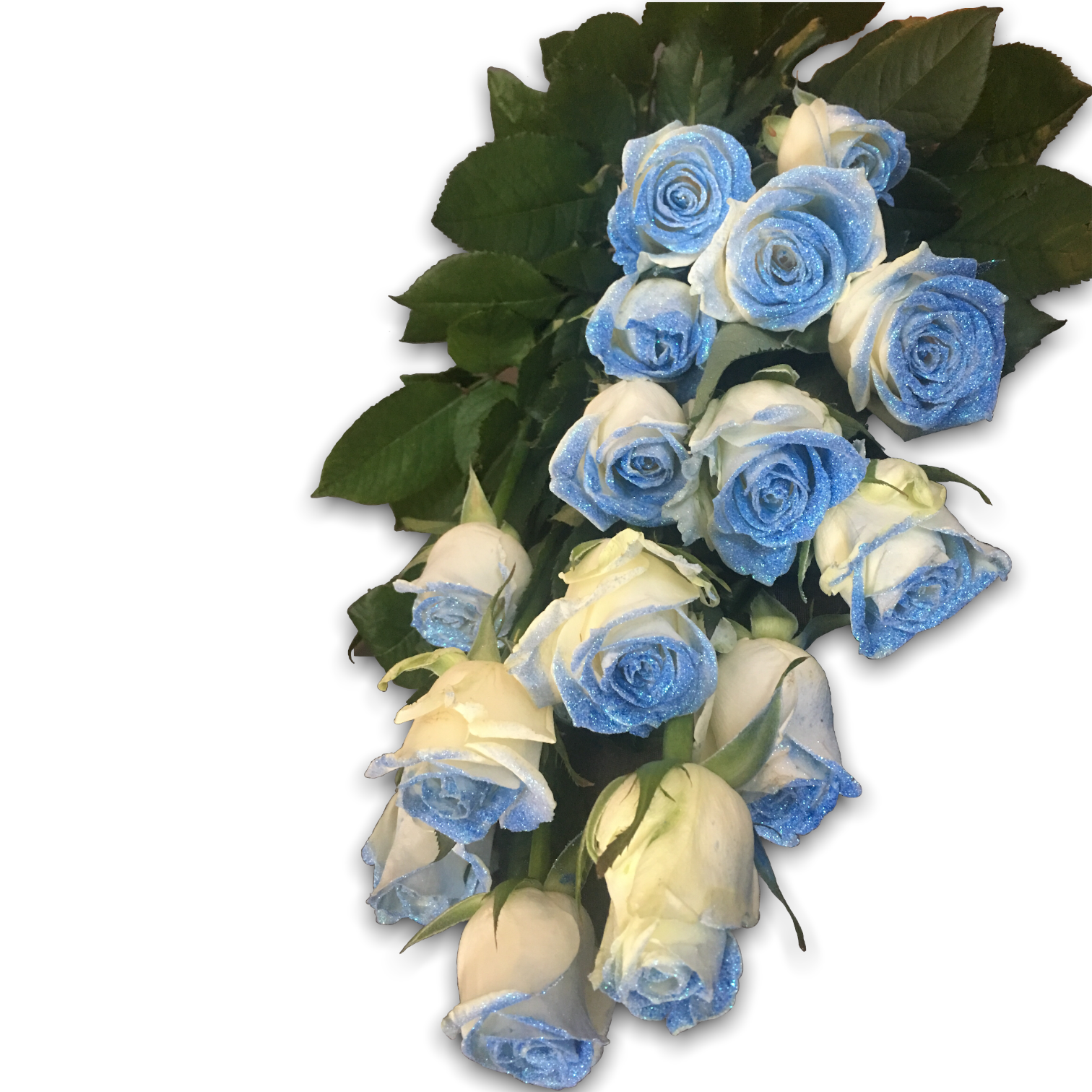 Colección de rosas con destellos azules – flowershopping