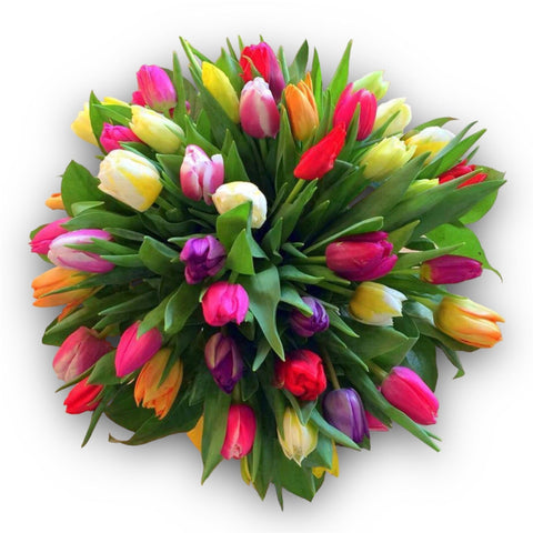 20 Tulips