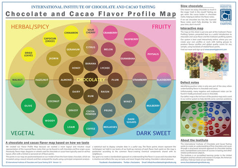 IICCT Chocolate and Cacao Flavour Profile Map - Chocolate View