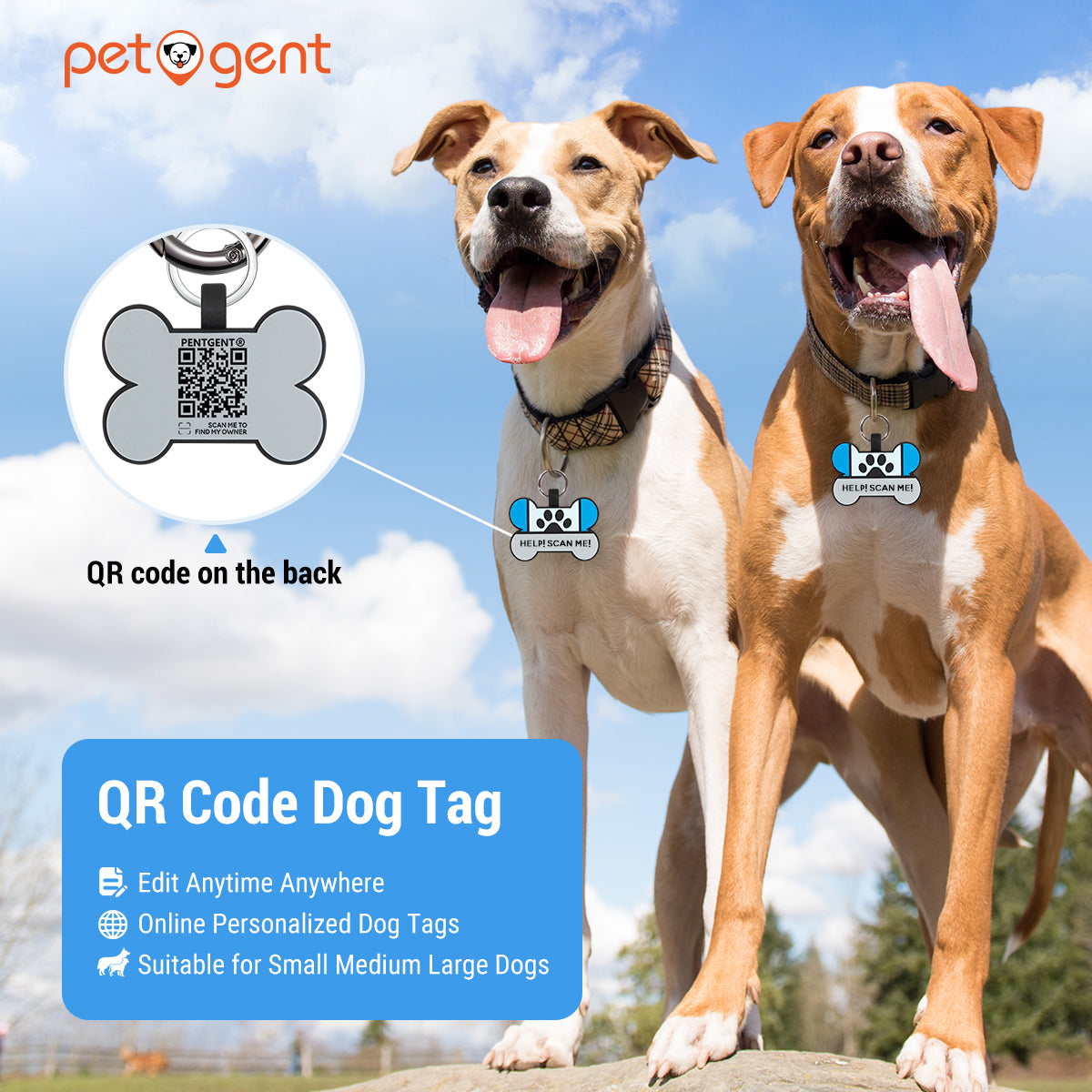 how can i make my dog tags quieter