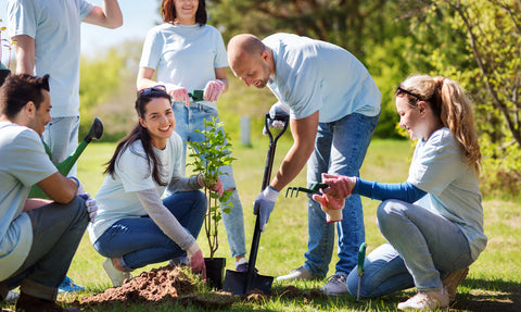 Roody sustainable swag tree planting eden reforestation