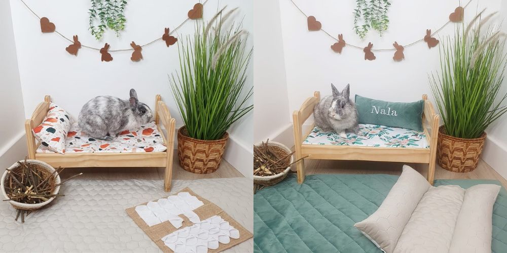 Rabbit enclosure layout - Rabbit space layout - Decoration ideas for rabbits