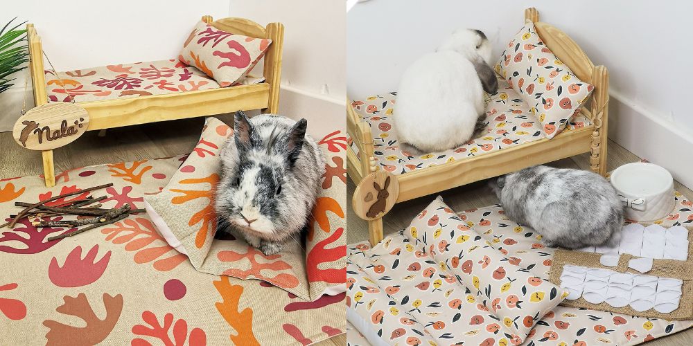 Rabbit enclosure layout - Rabbit space layout - Decoration ideas for rabbits