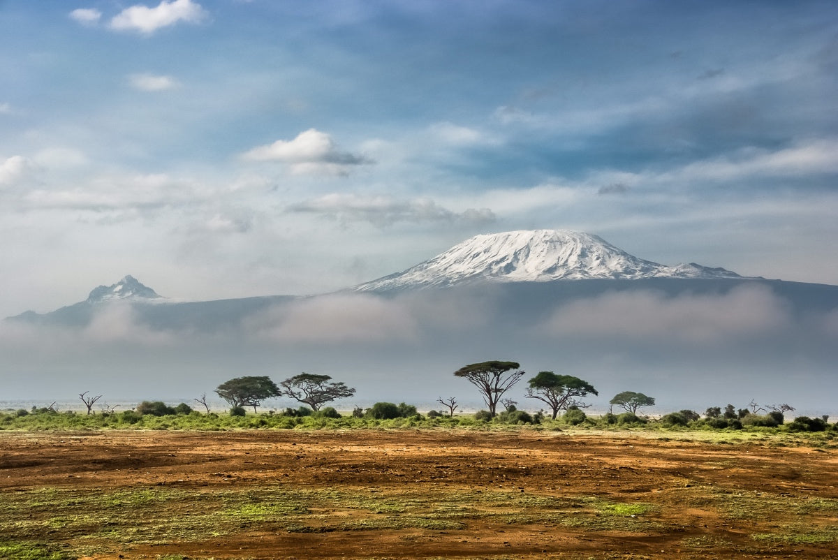 Kilimanjaro Top of Africa