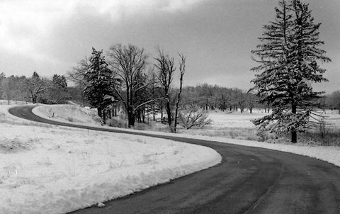 windy roads snow scene 