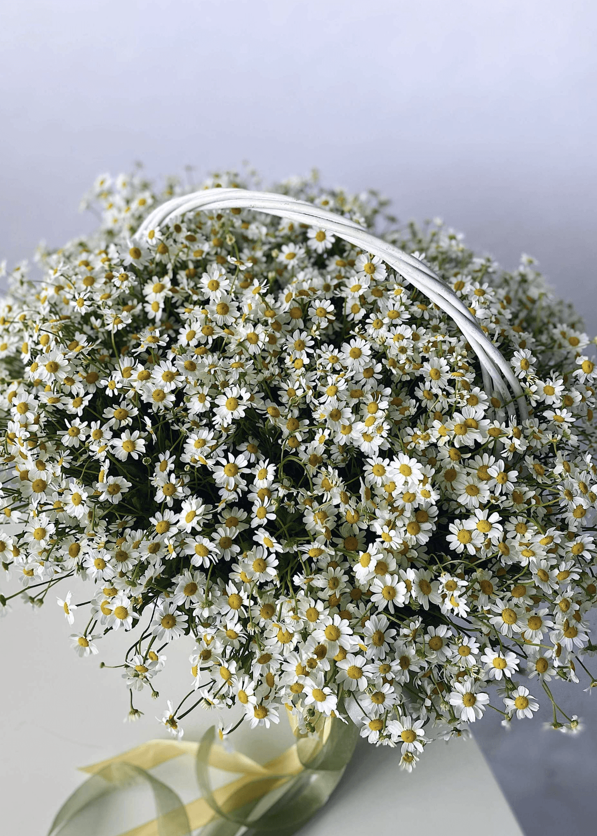 NO. 63. Baby's Breath Bouquet, Cherry Blossom