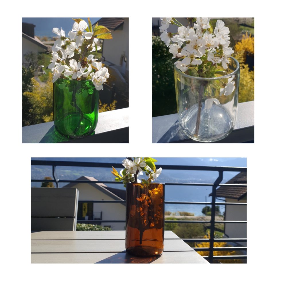 3 vases avec des fleurs 