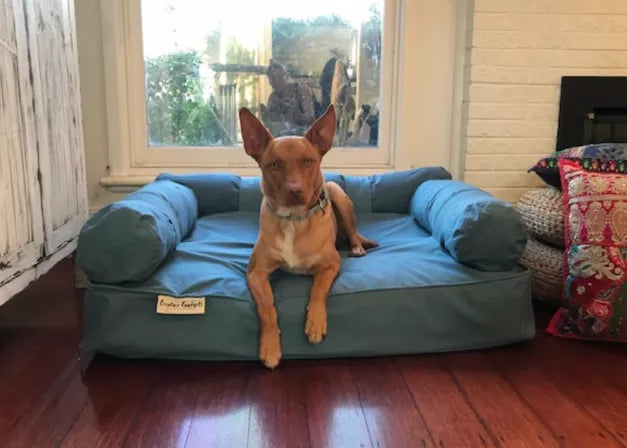 Orthopedic Eco Dog Couch