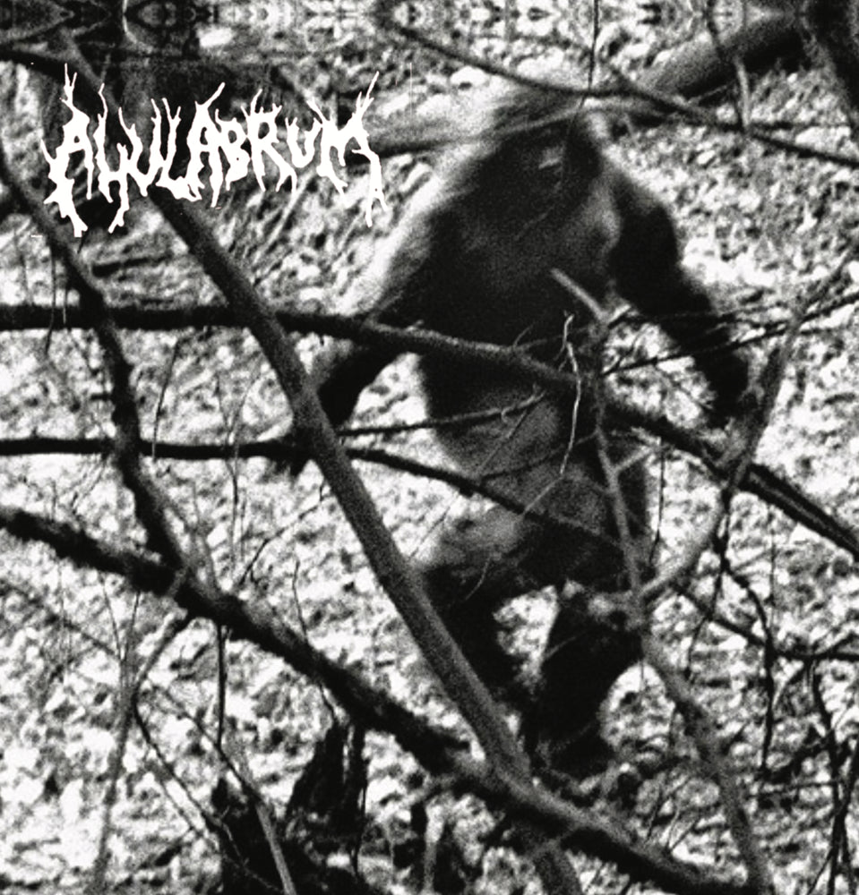 Ahulabram - Strange Lights Portend Their Presence 12"