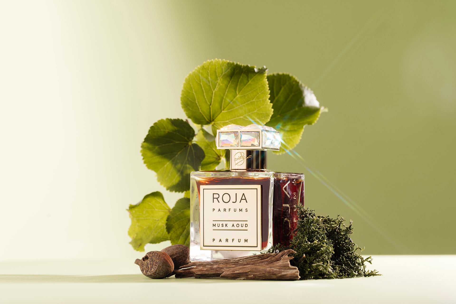 Roja Parfums Amber Aoud Parfum (100ml)