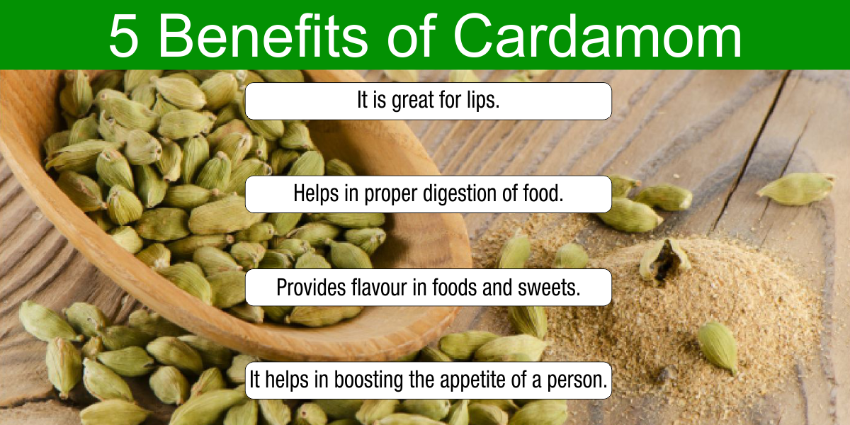 13 Black Cardamom Badi Elaichi Benefits You Must Know About