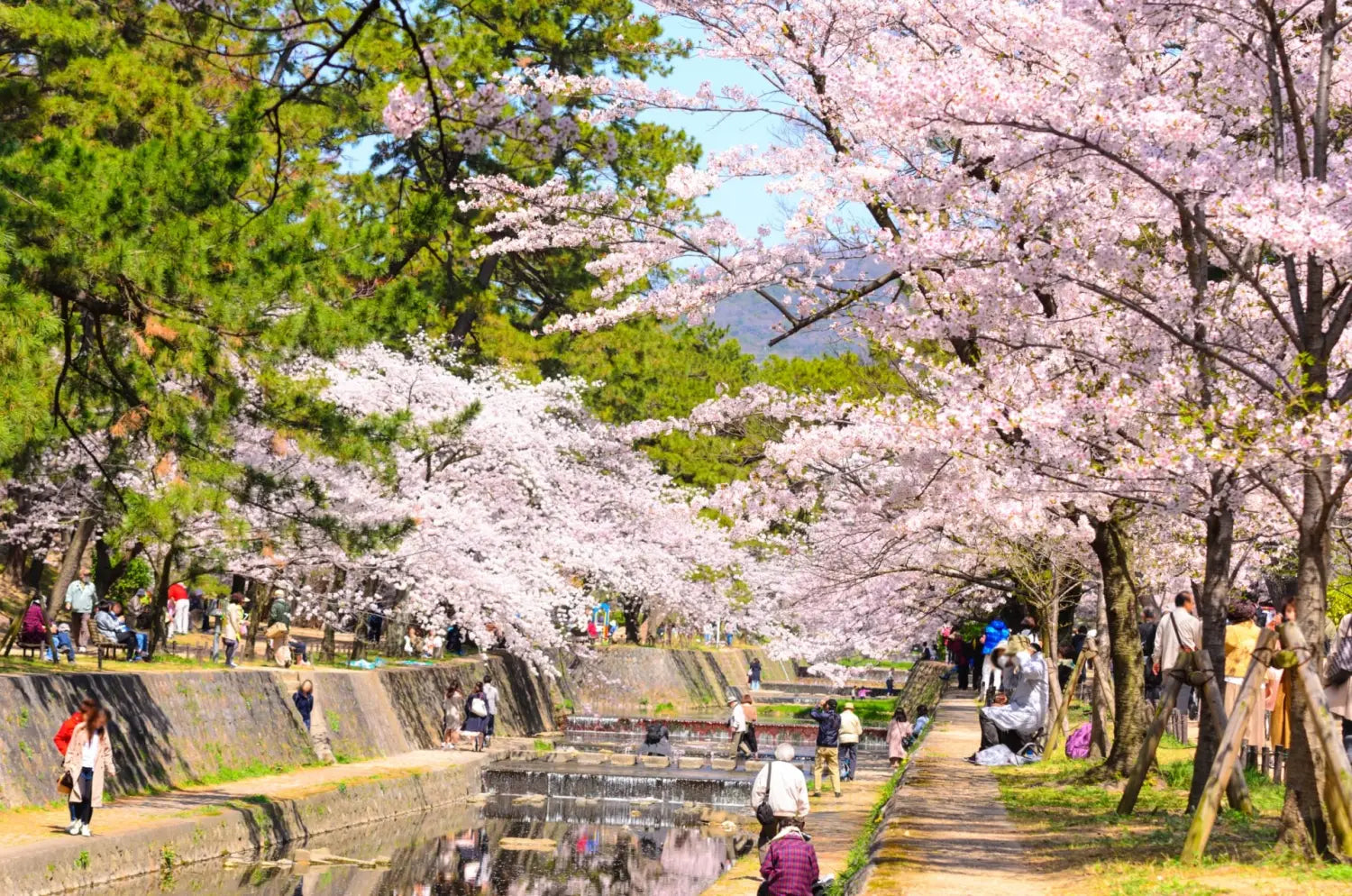 Shukugawa Park in Hyogo