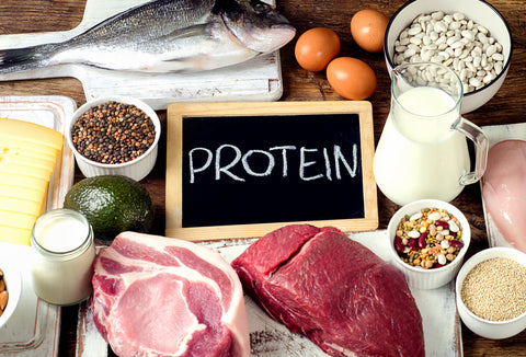 How Much Protein Do We Need? | BOMIMO Nutrition