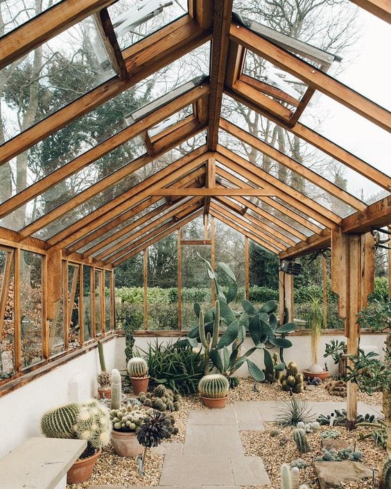 outdoor greenhouse with desert plants