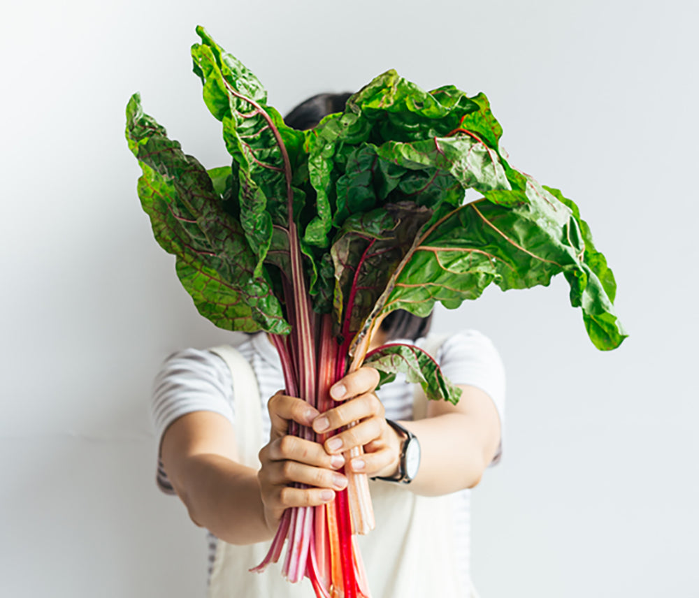 person holding chard