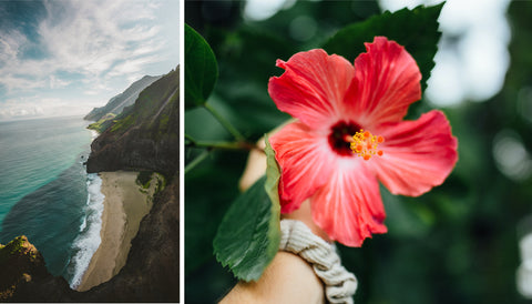Hawaiian coast and hibiscus flower