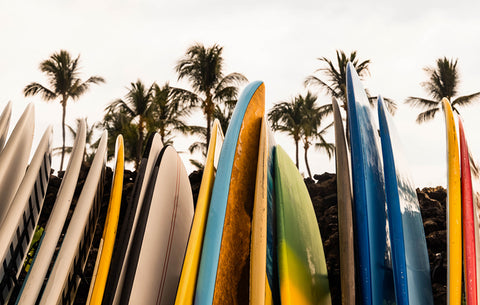 image of surf boards with palm trees in background
