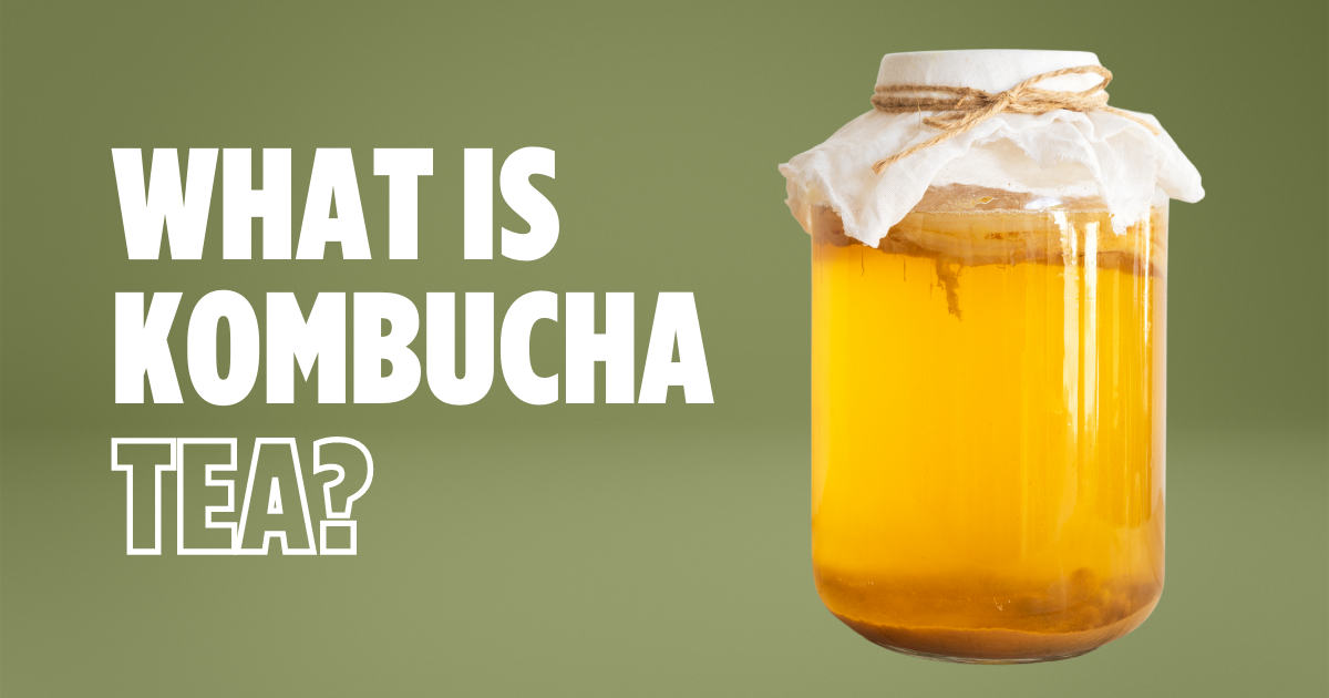 what is kombucha tea