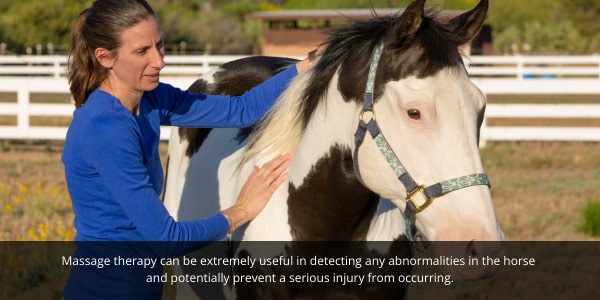 Alternative therapy blog on massage therapy for dogs and horses, image of women horse therapist