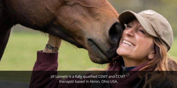 Alternative therapy blog on massage therapy for dogs and horses, image of Jill Lionetti USA dog and horse therapist