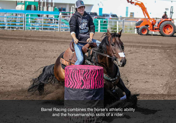 barrel racing horses