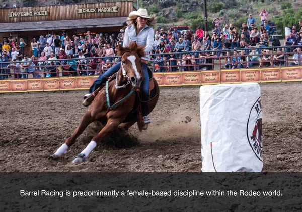 Barrel Racing discipline equ streamz blog entry image