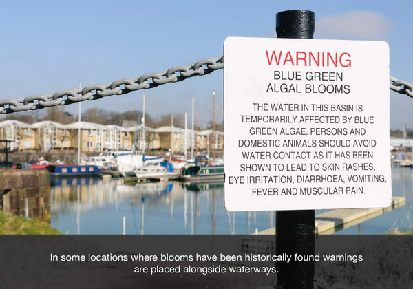 Warnings are now being used where previous blooms of blue green algae have been found
